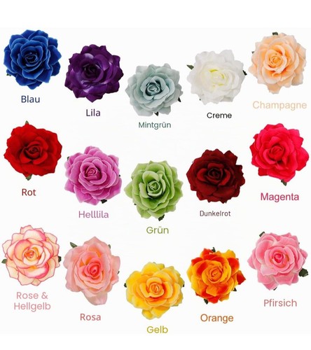 Set rosen haarclip - 23,